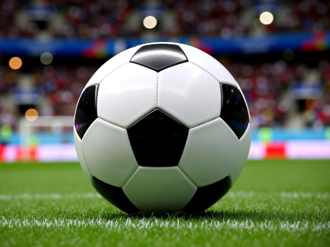 开云体育登录入口-中国体育科研团队研发智能训练反馈系统，中国体能训练年会  第3张