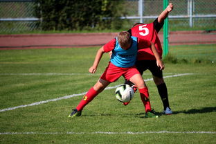 开云app-“FIFA严打关联俱乐部，莱昂或失参赛资格”  第2张